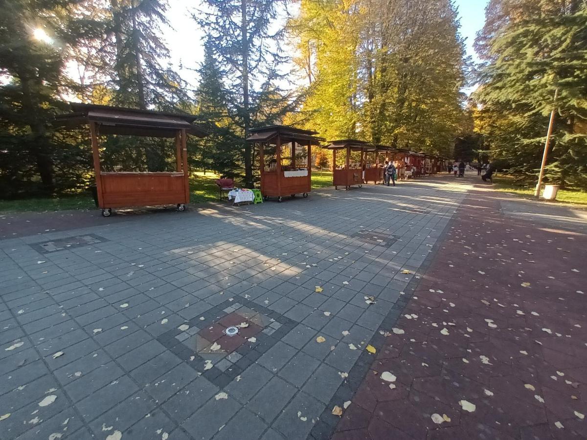 Apartman Lavanda Banja Koviljaca Exterior photo